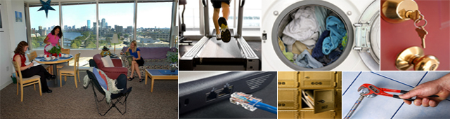 banner-saftey-and-security.